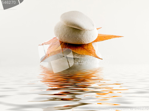 Image of Beach stones with leaf and water reflection