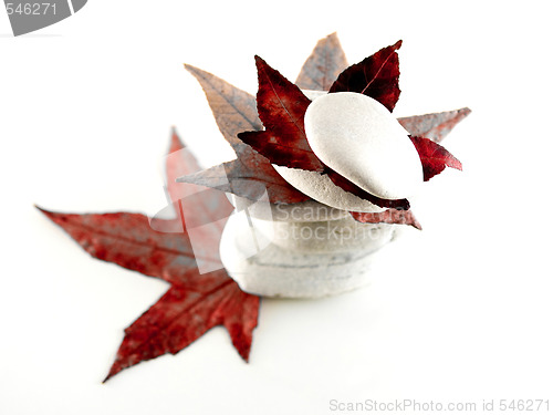 Image of Beach stones with red leaves