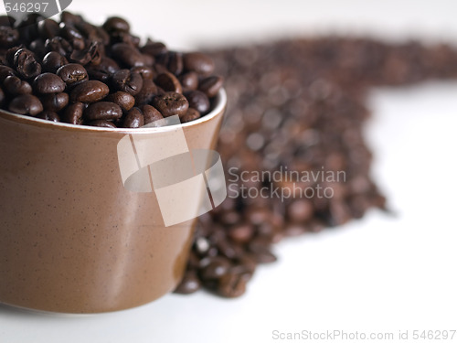 Image of Spilled coffee beans