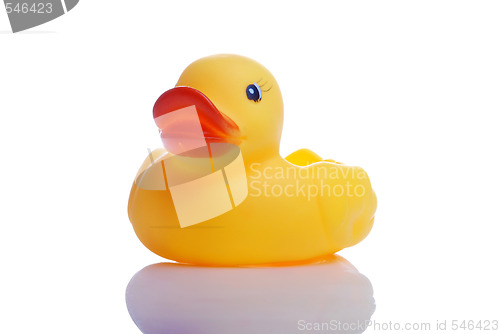 Image of rubber duck