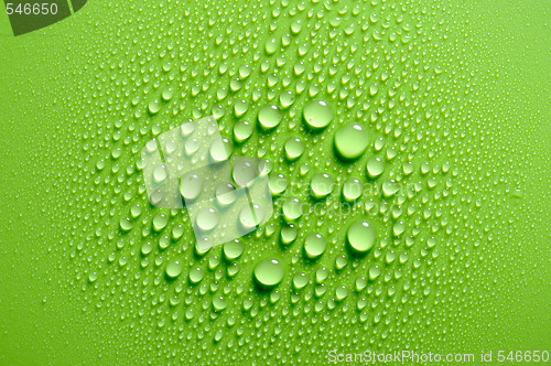 Image of Water drops