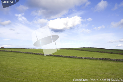 Image of Landscape