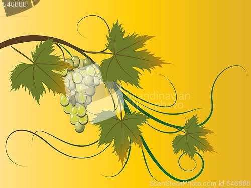 Image of grape brunch