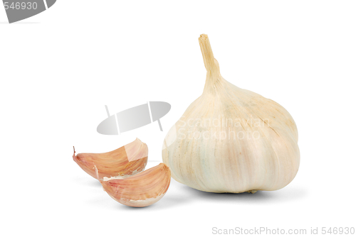 Image of Garlic