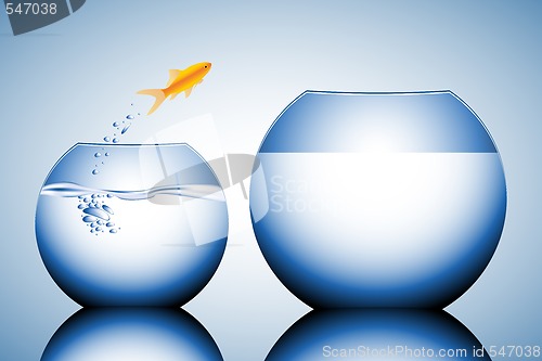 Image of goldfish jumping out of the water