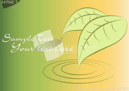 Image of green leaves