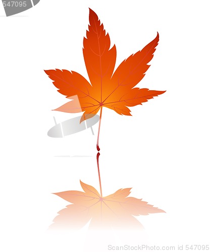 Image of Fall leaf illustration