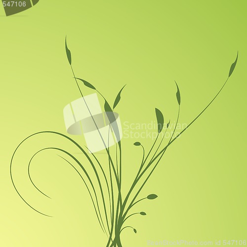 Image of Abstract floral background