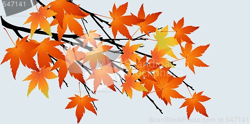 Image of Abstract tree with autumn leaves 