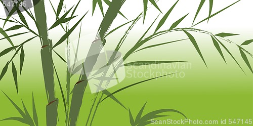 Image of design of chinese bamboo trees