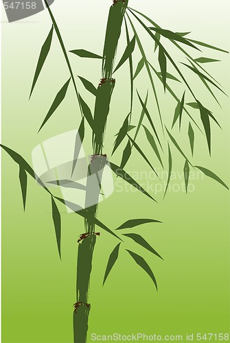 Image of design of chinese bamboo trees