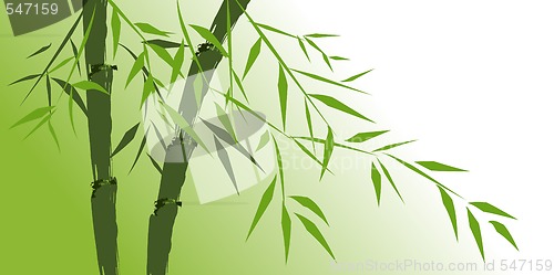 Image of design of chinese bamboo trees