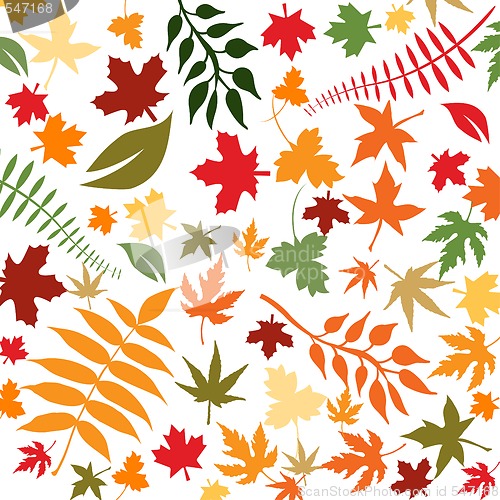 Image of autumn leaves