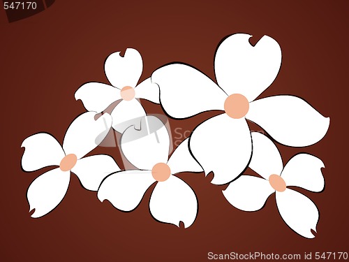 Image of White flowers background 