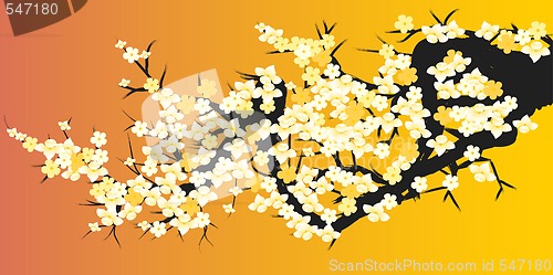 Image of Abstract floral background