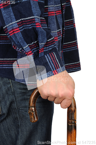 Image of Cane