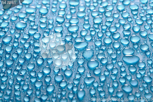 Image of Water drops