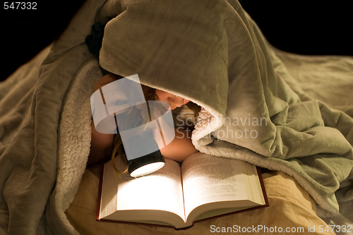 Image of Reading Under The Covers