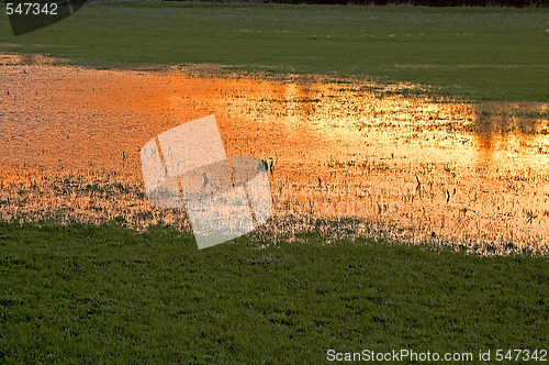 Image of floodwater