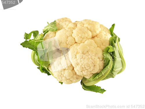 Image of isolated cauliflower