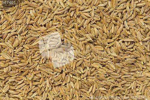 Image of Caraway Seeds