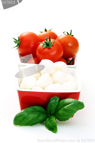 Image of mozzarella and cherry tomatoes