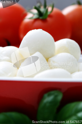 Image of mozzarella and cherry tomatoes