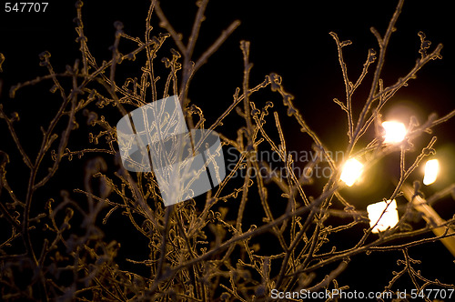 Image of winter