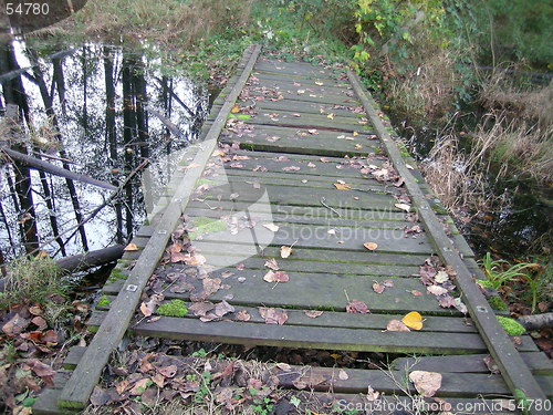 Image of Rickety Bridge