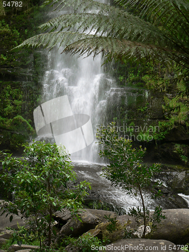 Image of Waterfalls