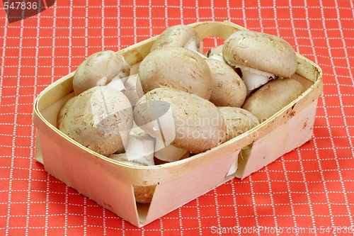 Image of Brown Mushrooms