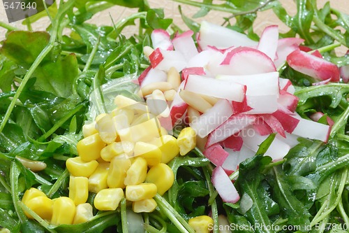 Image of Rocket with radish