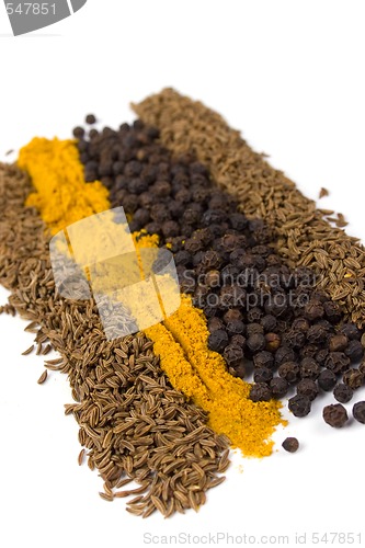 Image of spices