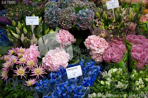 Image of Amsterdam flower market