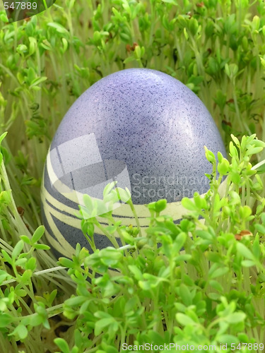 Image of Easter Eggs