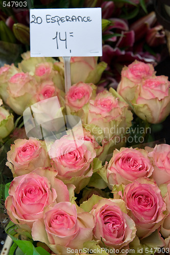 Image of Amsterdam flower market