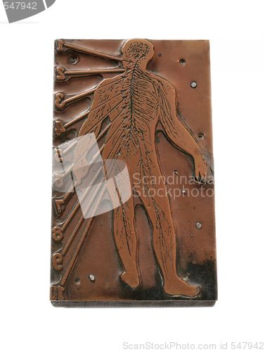 Image of printers cut of anatomical figure