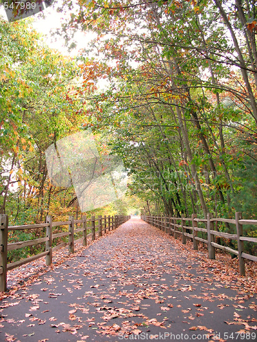 Image of Walking Path