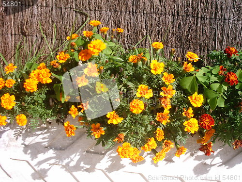 Image of Flower boughpot