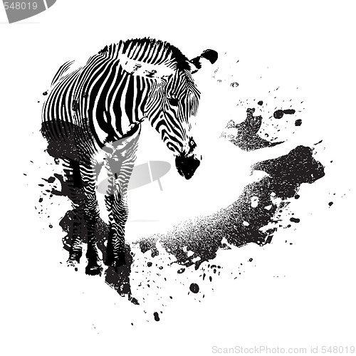 Image of Grungy Zebra