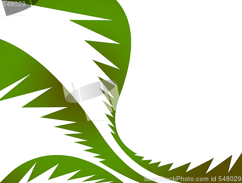 Image of Green Palm Leaves