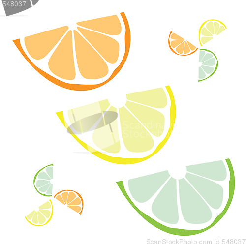 Image of Citrus Slices 