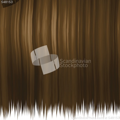 Image of silky brown hair