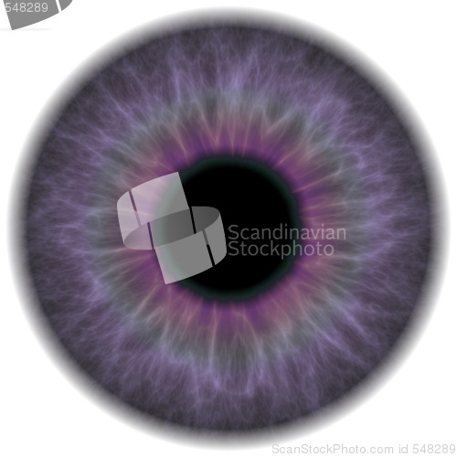 Image of Purple Eye Iris