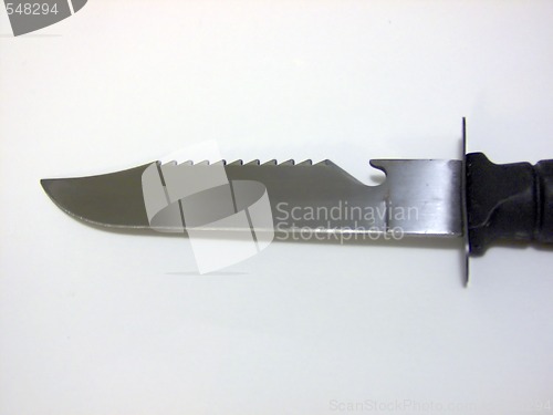 Image of Large Bowie Knife Blade