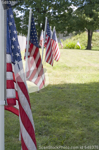 Image of Row of Flags