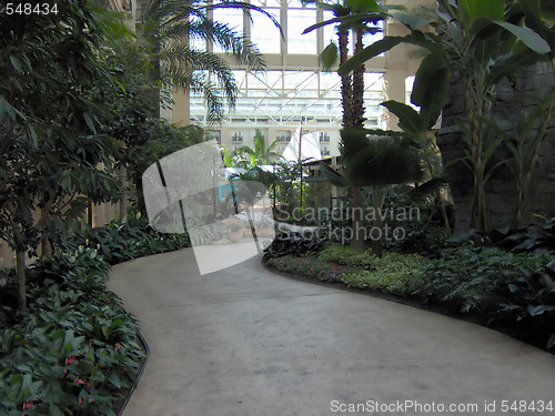 Image of Interior Tropical Pathway