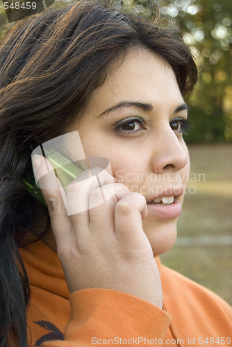 Image of Talking On Her Cell Phone