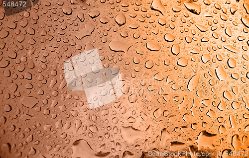 Image of Beer Closeup