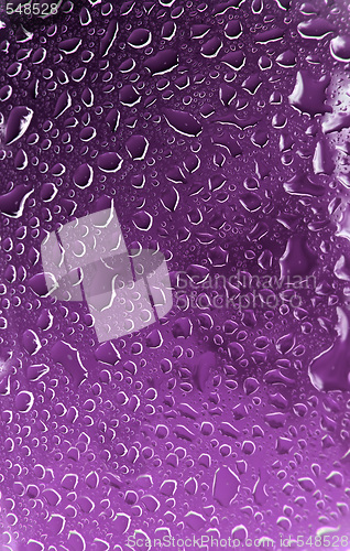 Image of Water Droplets